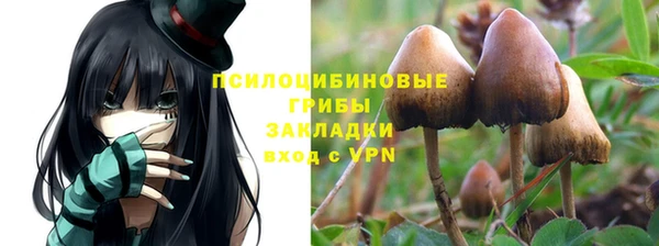 jwh Арсеньев
