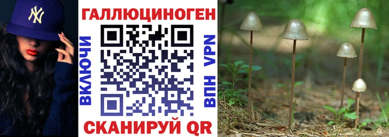 Псилоцибиновые грибы Cubensis  купить   Котельники 