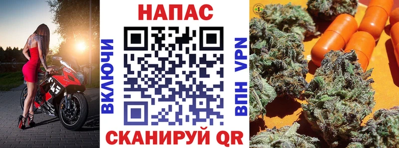где продают наркотики  Котельники  MEGA ССЫЛКА  Бошки марихуана THC 21% 